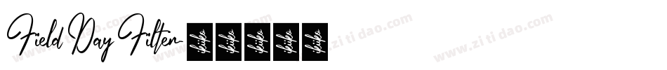 Field Day Filter字体转换